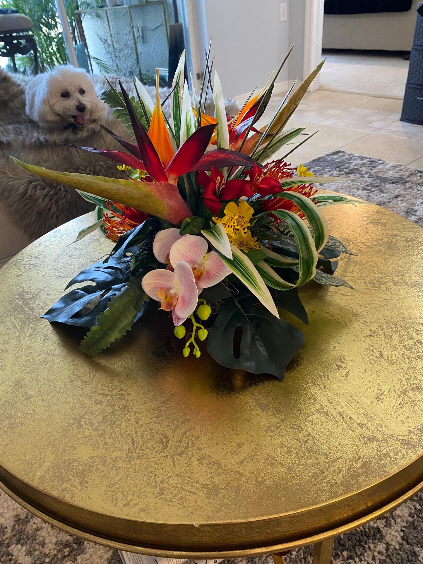 Low profile Tropical Floral Centerpiece, Bird of Paradise and  Orchid 15” diameter  11” height