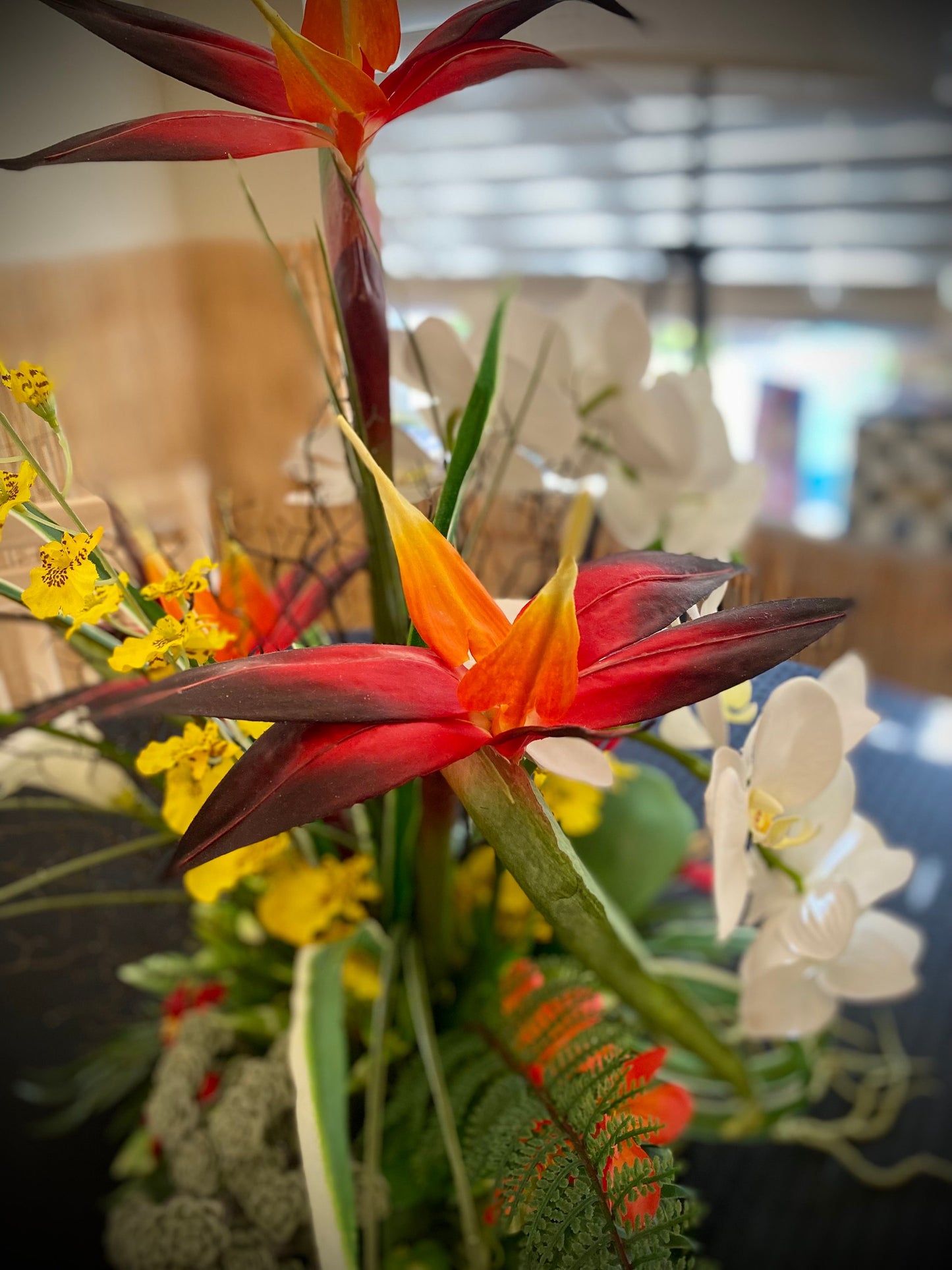 Exotic Elegant. Bird of paradise, Sea-fan, Succulent Tropical Centerpiece. Artificial. 24x13” 3 pounds. Great for medium dining table size.