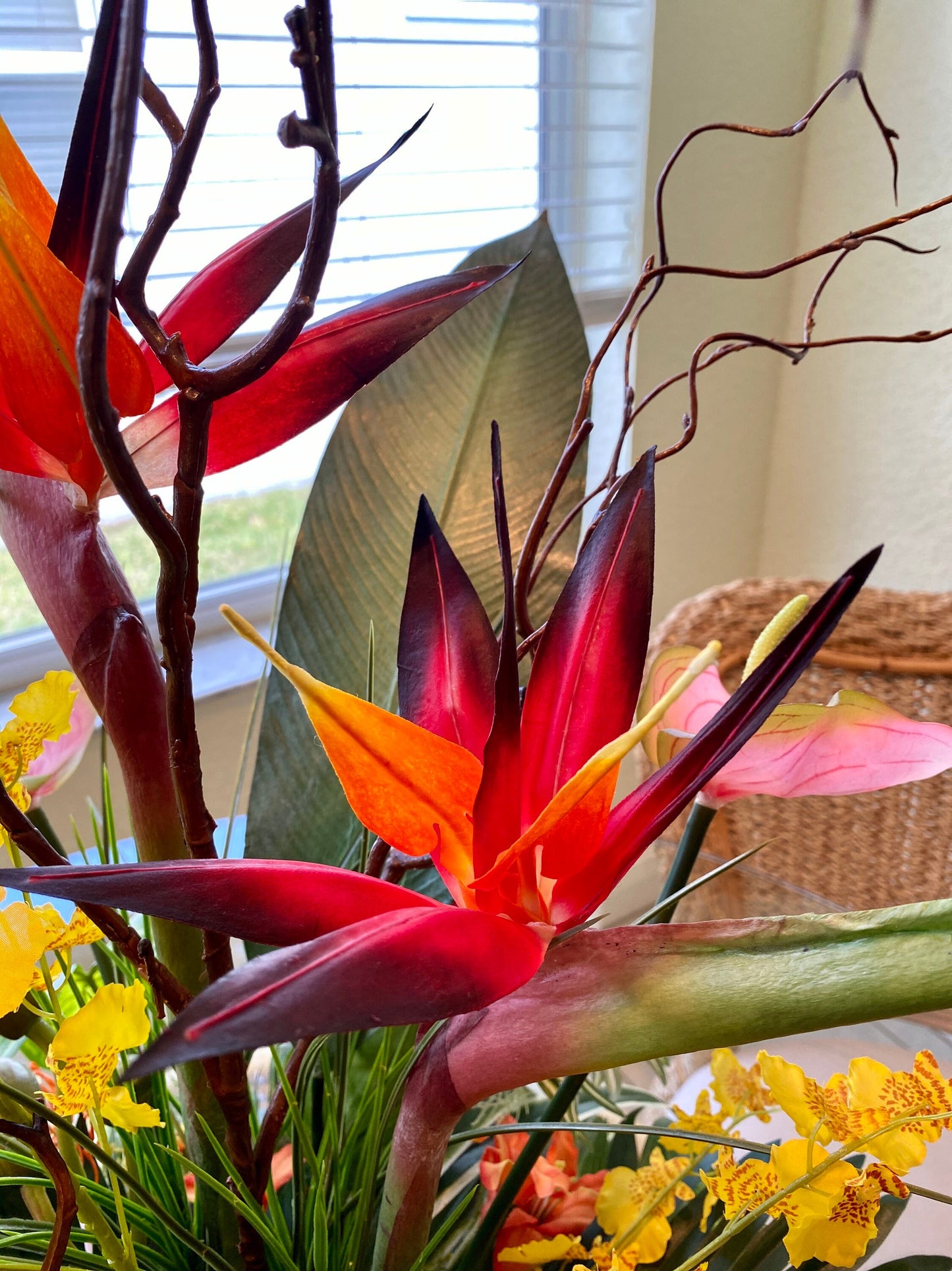 Luxury Tropical Bird of Paradise Centerpiece, Orchid & Anthurium Arrangement